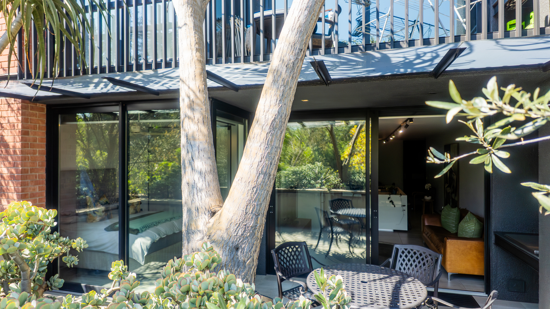 Garden patio framed by mature trees and folding glass doors