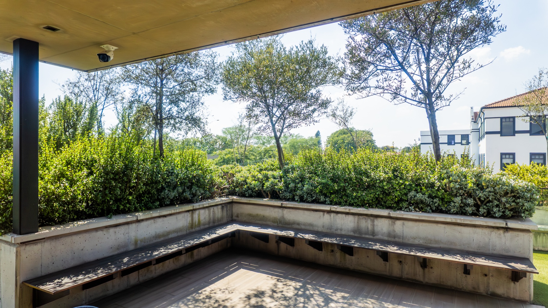 Rooftop bench nook surrounded by hedging and olive trees